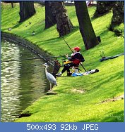 Cliquez sur l'image pour la voir en taille r�elle

Nom : 633239545.jpg
Affichages : 209
Taille : 91,9 Ko
ID : 97292