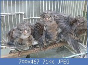 Cliquez sur l'image pour la voir en taille réelle
Nom : P1030575.jpg
Affichages : 260
Taille : 70,6 Ko
ID : 98130