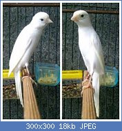 Cliquez sur l'image pour la voir en taille r�elle

Nom : thFX8ZD440.jpg
Affichages : 877
Taille : 18,2 Ko
ID : 98160