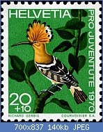 Cliquez sur l'image pour la voir en taille relle

Nom : 90c3f408453d34f5d2cc4409b8be5cd2--flying-birds-stamp-collecting.jpg
Affichages : 66
Taille : 140,1 Ko
ID : 119120