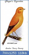 Cliquez sur l'image pour la voir en taille relle

Nom : bird-card-uk026txt.jpg
Affichages : 285
Taille : 117,8 Ko
ID : 118568