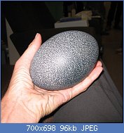 Cliquez sur l'image pour la voir en taille relle

Nom : Emu_egg_in_hand.jpg
Affichages : 81
Taille : 96,4 Ko
ID : 122075