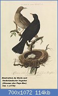 Cliquez sur l'image pour la voir en taille relle

Nom : Nederlandsche_vogelen_(KB)_-_Turdus_merula_(016f).jpg
Affichages : 52
Taille : 114,3 Ko
ID : 121233