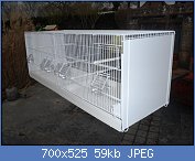 Cliquez sur l'image pour la voir en taille relle

Nom : _580______domus-cages-120x50-051_672.jpg
Affichages : 325
Taille : 59,4 Ko
ID : 111389