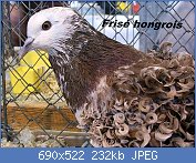 Cliquez sur l'image pour la voir en taille relle

Nom : pigeon-frise-grosplan.jpg
Affichages : 60
Taille : 231,5 Ko
ID : 114193