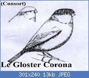 Cliquez sur l'image pour la voir en taille relle

Nom : glostercorona.jpg
Affichages : 1174
Taille : 13,4 Ko
ID : 65539
