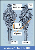 Cliquez sur l'image pour la voir en taille relle

Nom : parisi10.gif
Affichages : 572
Taille : 167,5 Ko
ID : 98172