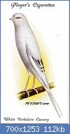 Cliquez sur l'image pour la voir en taille relle

Nom : bird-card-uk010txt.jpg
Affichages : 286
Taille : 112,3 Ko
ID : 118577