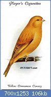 Cliquez sur l'image pour la voir en taille relle

Nom : bird-card-uk012txt.jpg
Affichages : 281
Taille : 106,4 Ko
ID : 118578