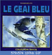 Cliquez sur l'image pour la voir en taille relle

Nom : m7Z0yaxlAA==.gif
Affichages : 56
Taille : 196,8 Ko
ID : 118370