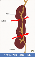 Cliquez sur l'image pour la voir en taille relle

Nom : sans-titre1.png
Affichages : 74
Taille : 9,4 Ko
ID : 100009