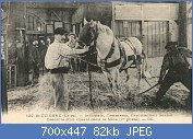 Cliquez sur l'image pour la voir en taille relle

Nom : Descente_d'un_cheval_dans_la_mine_(1).jpg
Affichages : 95
Taille : 81,6 Ko
ID : 103815