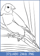 Cliquez sur l'image pour la voir en taille relle

Nom : gouldian-finch-coloring-page_0.png
Affichages : 79
Taille : 24,5 Ko
ID : 122783