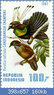 Cliquez sur l'image pour la voir en taille relle

Nom : Parotia_sefilata_1982_Indonesia_stamp.jpg
Affichages : 35
Taille : 159,9 Ko
ID : 118046