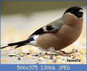 Cliquez sur l'image pour la voir en taille réelle
Nom : 14-zoom.jpg
Affichages : 1270
Taille : 129,7 Ko
ID : 114833