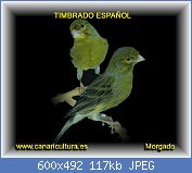 Cliquez sur l'image pour la voir en taille relle

Nom : timbrado.jpg
Affichages : 710
Taille : 117,2 Ko
ID : 99422