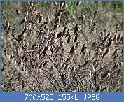 Cliquez sur l'image pour la voir en taille relle

Nom : 1280px-Red-billed_Quelea.jpg
Affichages : 257
Taille : 155,2 Ko
ID : 123068