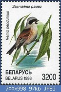 Cliquez sur l'image pour la voir en taille relle

Nom : 1998._Stamp_of_Belarus_0269.jpg
Affichages : 50
Taille : 96,7 Ko
ID : 117585