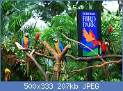 Cliquez sur l'image pour la voir en taille relle

Nom : Jurong-Bird-Park-Is-The-Largest-Home-Of-Birds-In-Singapore.jpg
Affichages : 439
Taille : 207,0 Ko
ID : 88077