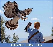 Cliquez sur l'image pour la voir en taille relle

Nom : cet-imposant-oiseau-est-lun-02s.jpg
Affichages : 40
Taille : 91,5 Ko
ID : 113411