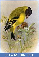 Cliquez sur l'image pour la voir en taille relle

Nom : carduelis notata.jpg
Affichages : 1657
Taille : 9,0 Ko
ID : 73323