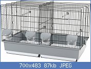 Cliquez sur l'image pour la voir en taille relle

Nom : cage-oiseaux-elevage-promotion-z104066ng-1.jpg
Affichages : 323
Taille : 87,0 Ko
ID : 111390