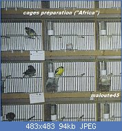 Cliquez sur l'image pour la voir en taille relle

Nom : cageafrica1.jpg
Affichages : 345
Taille : 93,9 Ko
ID : 105349