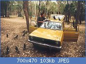 Cliquez sur l'image pour la voir en taille relle

Nom : Currawongs_carnarvon_gorge_1994_email.jpg
Affichages : 84
Taille : 103,2 Ko
ID : 118963