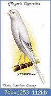 Cliquez sur l'image pour la voir en taille relle

Nom : bird-card-uk010txt.jpg
Affichages : 287
Taille : 112,3 Ko
ID : 118577