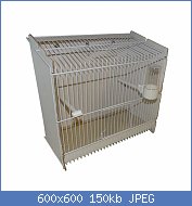 Cliquez sur l'image pour la voir en taille relle

Nom : cage-d-exposition-en-carton-oiseaux.jpg
Affichages : 304
Taille : 149,7 Ko
ID : 121426