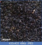Cliquez sur l'image pour la voir en taille relle

Nom : graines-de-niger-4-kg-versele-laga-31-150x150.jpg
Affichages : 261
Taille : 49,5 Ko
ID : 121757