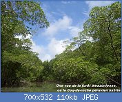 Cliquez sur l'image pour la voir en taille relle

Nom : River_in_the_Amazon_rainforest.jpg
Affichages : 40
Taille : 109,6 Ko
ID : 113182