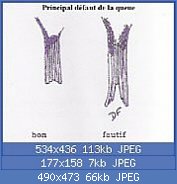 Cliquez sur l'image pour la voir en taille relle

Nom : DF page 6- queue.jpg
Affichages : 160
Taille : 65,8 Ko
ID : 79625