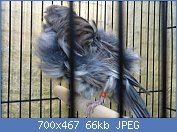 Cliquez sur l'image pour la voir en taille réelle
Nom : P1020961.jpg
Affichages : 251
Taille : 66,0 Ko
ID : 98132