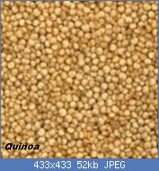 Cliquez sur l'image pour la voir en taille relle

Nom : quinoa-150x150.jpg
Affichages : 265
Taille : 52,0 Ko
ID : 121759