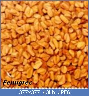 Cliquez sur l'image pour la voir en taille relle

Nom : fenugrec-graines-620-7-150x150.jpg
Affichages : 258
Taille : 43,3 Ko
ID : 121756