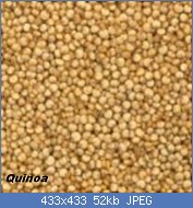 Cliquez sur l'image pour la voir en taille relle

Nom : quinoa-150x150.jpg
Affichages : 266
Taille : 52,0 Ko
ID : 121759
