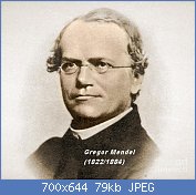 Cliquez sur l'image pour la voir en taille relle

Nom : 3-gregor-mendel-father-of-genetics-science-source.jpg
Affichages : 676
Taille : 78,9 Ko
ID : 100144