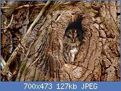 Cliquez sur l'image pour la voir en taille relle

Nom : 1280px-Tawny_Owl_(Strix_aluco),_Parc_de_Woluw,_Bruxelles_(23814972790).jpg
Affichages : 60
Taille : 127,3 Ko
ID : 120785