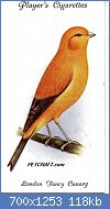 Cliquez sur l'image pour la voir en taille relle

Nom : bird-card-uk026txt.jpg
Affichages : 287
Taille : 117,8 Ko
ID : 118568