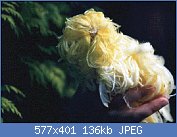 Cliquez sur l'image pour la voir en taille relle

Nom : feather duster jaune.jpg
Affichages : 451
Taille : 136,0 Ko
ID : 75855