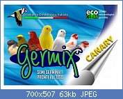Cliquez sur l'image pour la voir en taille relle

Nom : germix-canaris-5kg.jpg
Affichages : 281
Taille : 63,2 Ko
ID : 121687