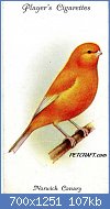 Cliquez sur l'image pour la voir en taille relle

Nom : bird-card-uk001txt.jpg
Affichages : 289
Taille : 107,4 Ko
ID : 118567