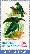 Cliquez sur l'image pour la voir en taille relle

Nom : Lophorina_superba_1984_Indonesia_stamp.jpg
Affichages : 38
Taille : 134,5 Ko
ID : 118062