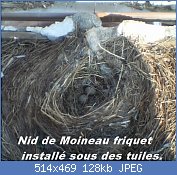 Cliquez sur l'image pour la voir en taille relle

Nom : Nest_of_Passer_montanus_A.jpg
Affichages : 20
Taille : 127,7 Ko
ID : 113321