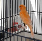 Avatar de jeromeclaudie