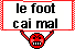 Footcaimal