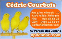 Au Paradis des Canaris - A vos Plumes ! Donnez-vous des Ailes..