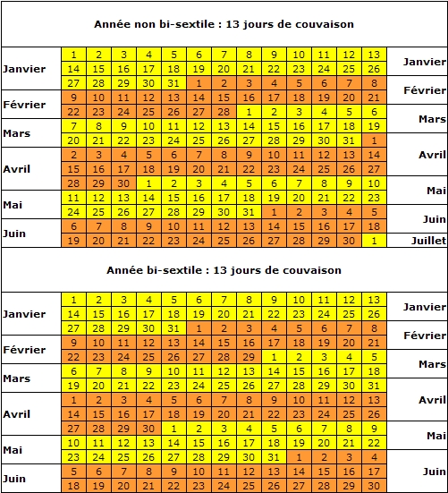Calendrier d'éclosion - Au Paradis des Canaris - A vos Plumes ! Donnez