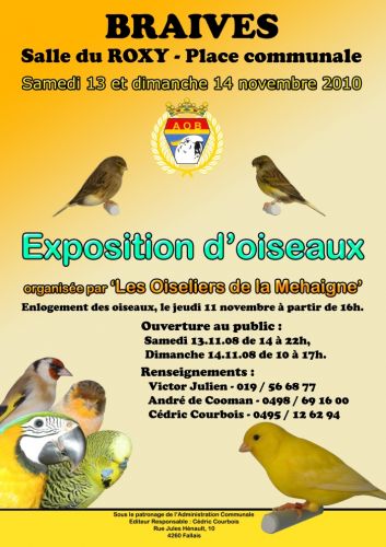 affiche_pub_2010.jpg